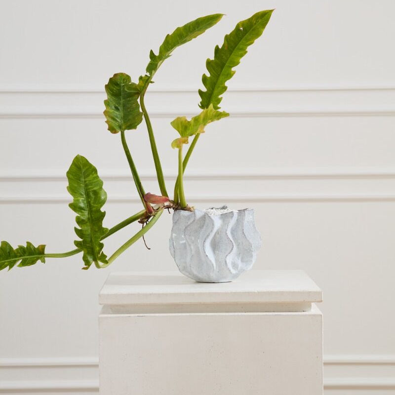 Sona Pot for home and event decor