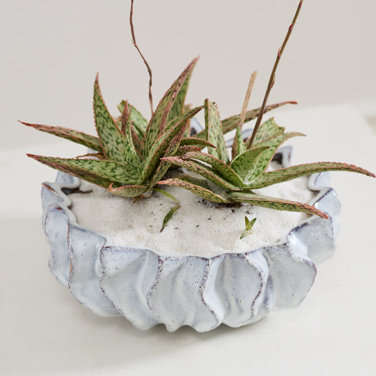 Sona Bowl, a white ceramic home decor accent
