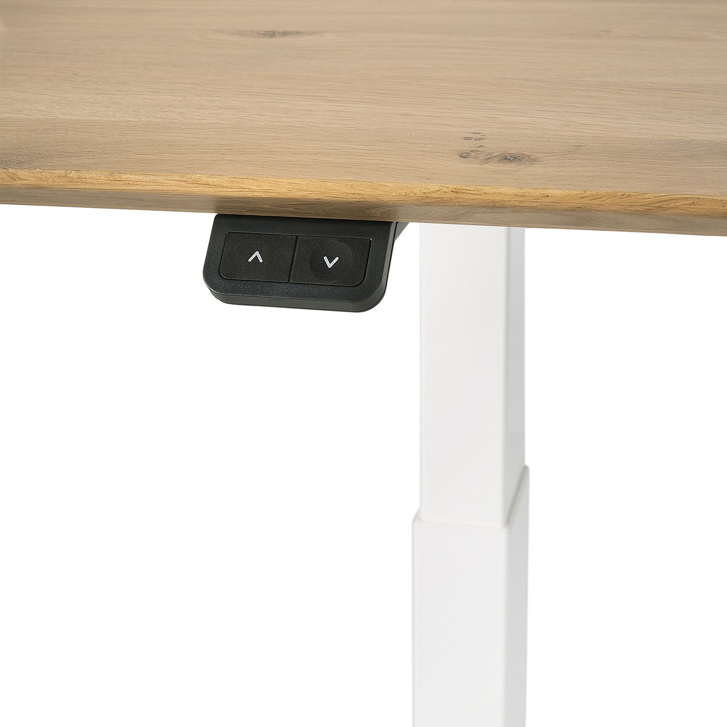 Ethnicraft Bok Adjustable Desk Base