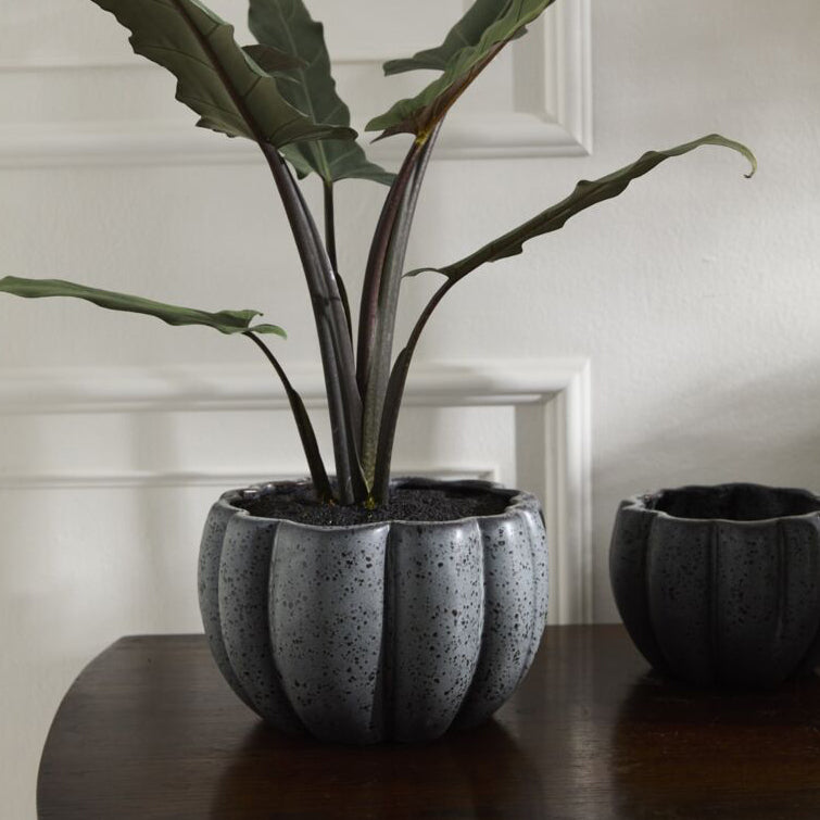 Spiced Pumpkin Pot Set of 4