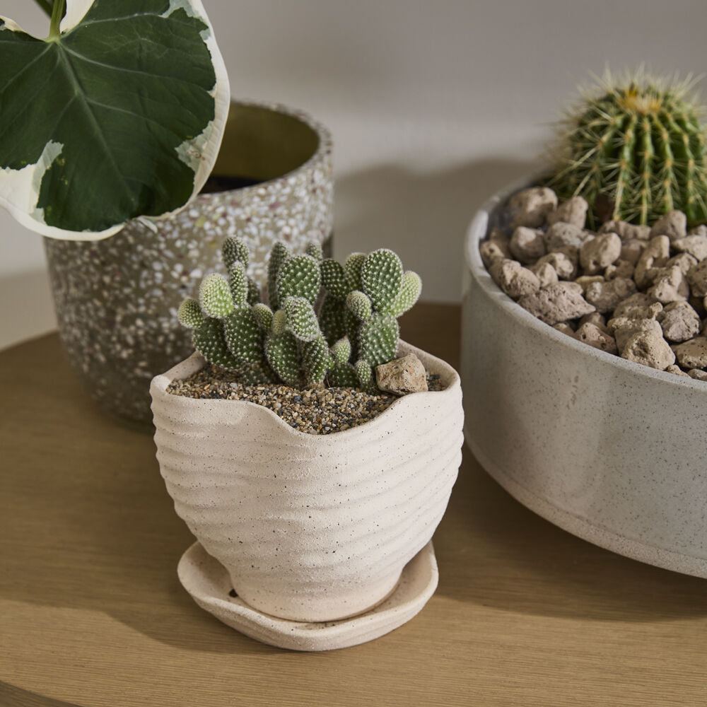 Highland Pot with Saucer detail view, tan ceramic planter with saucer