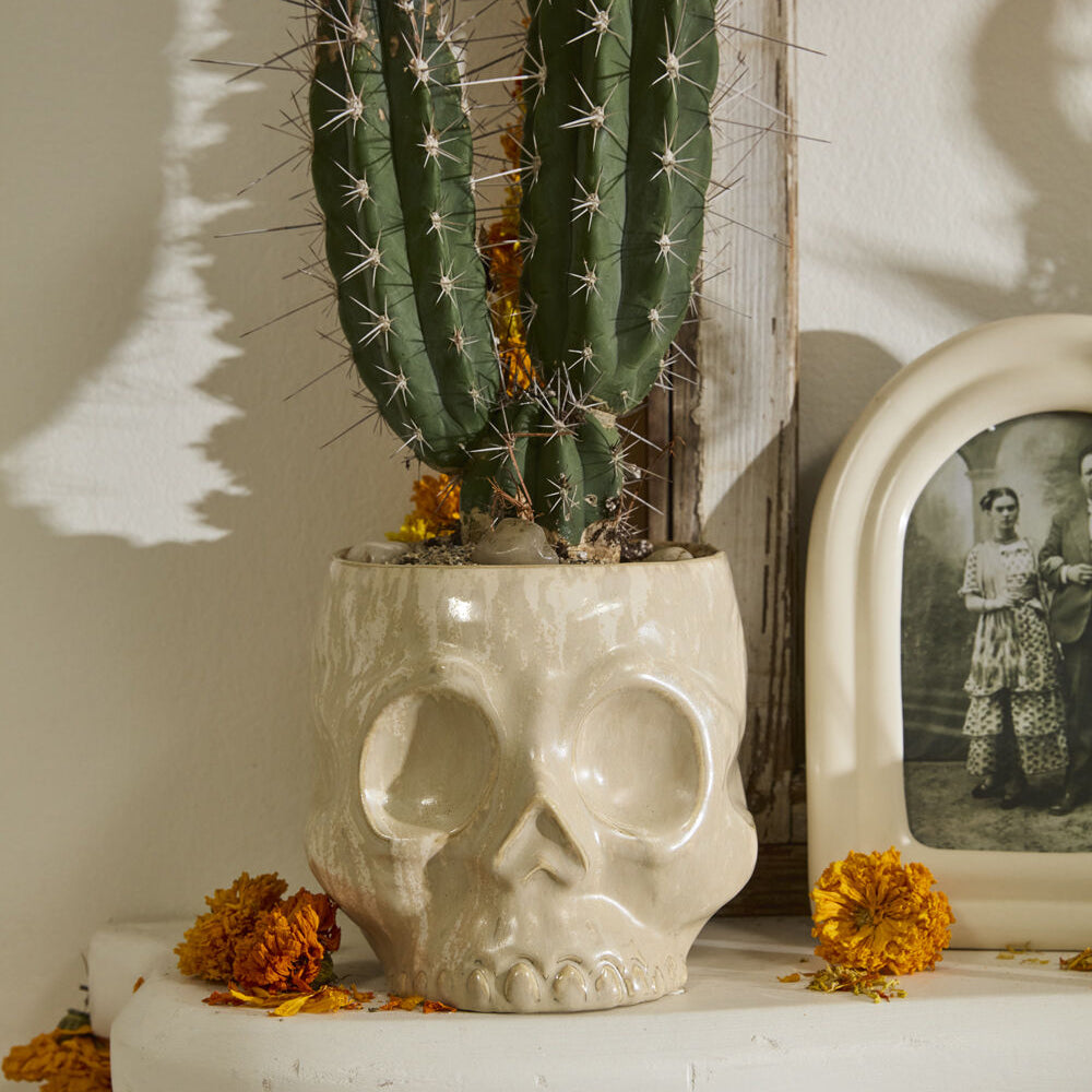 Haunting Skull Pot