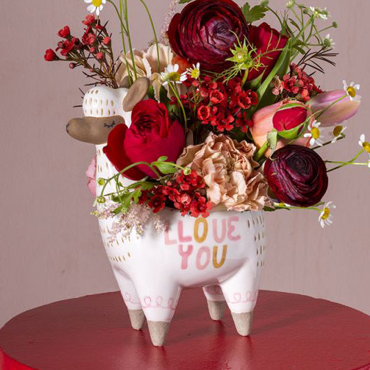 Fuzzy Feelings Llama Pot