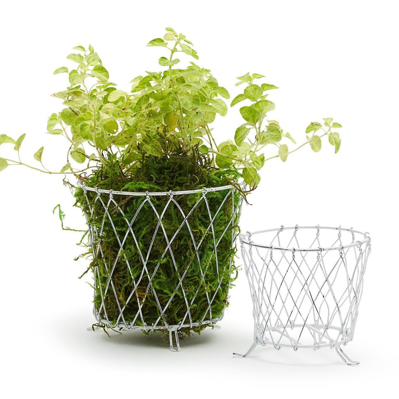 French Wireworks Pot Basket Set of 2