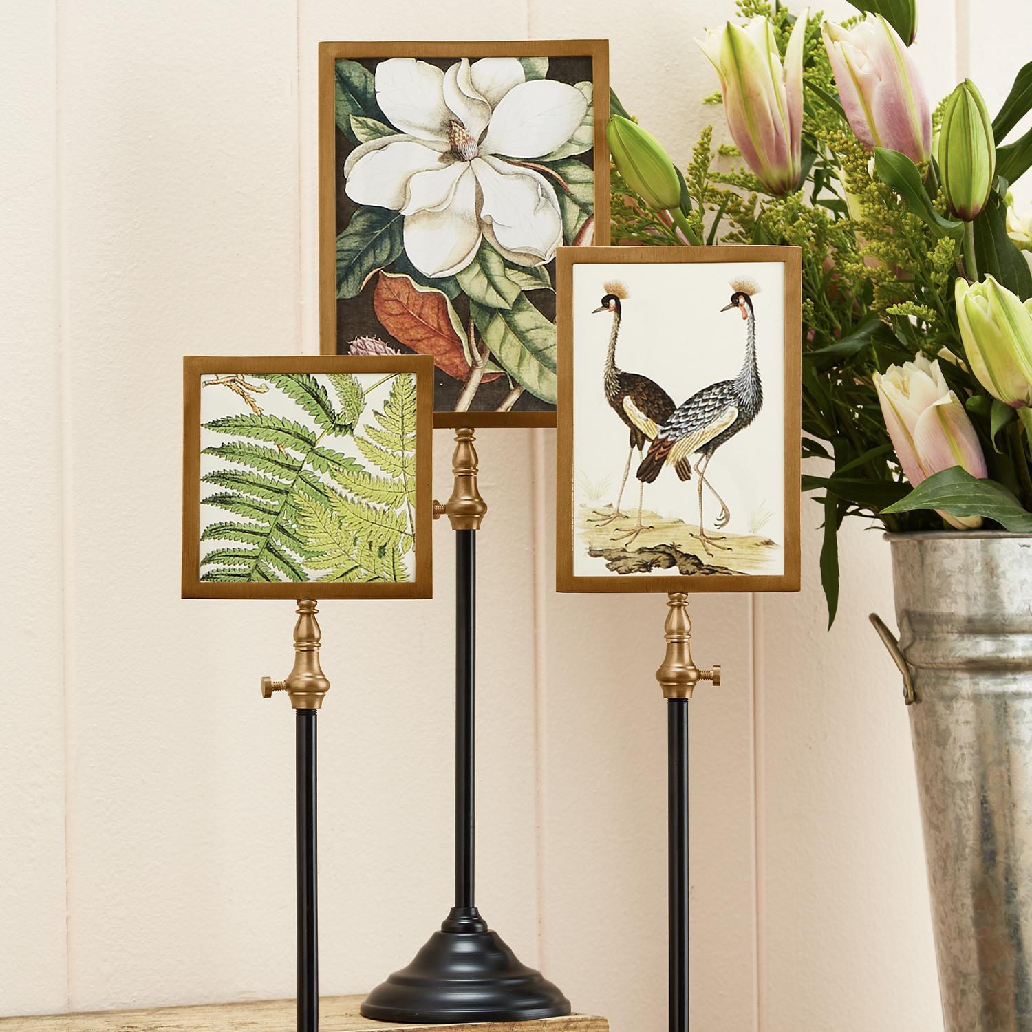 Telescoping Pole Double Sided Photo Frame Set of 3