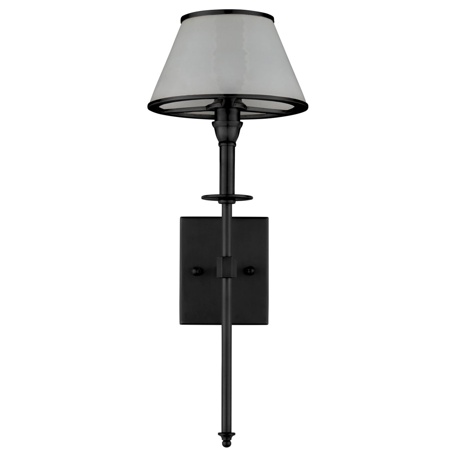 Currey & Co Ronaldo Black Outdoor Wall Sconce