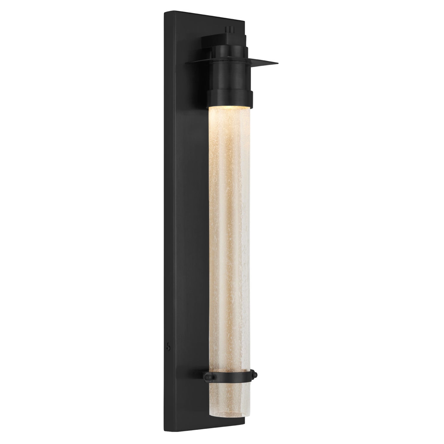 Currey & Co Provence Black Outdoor Wall Sconce