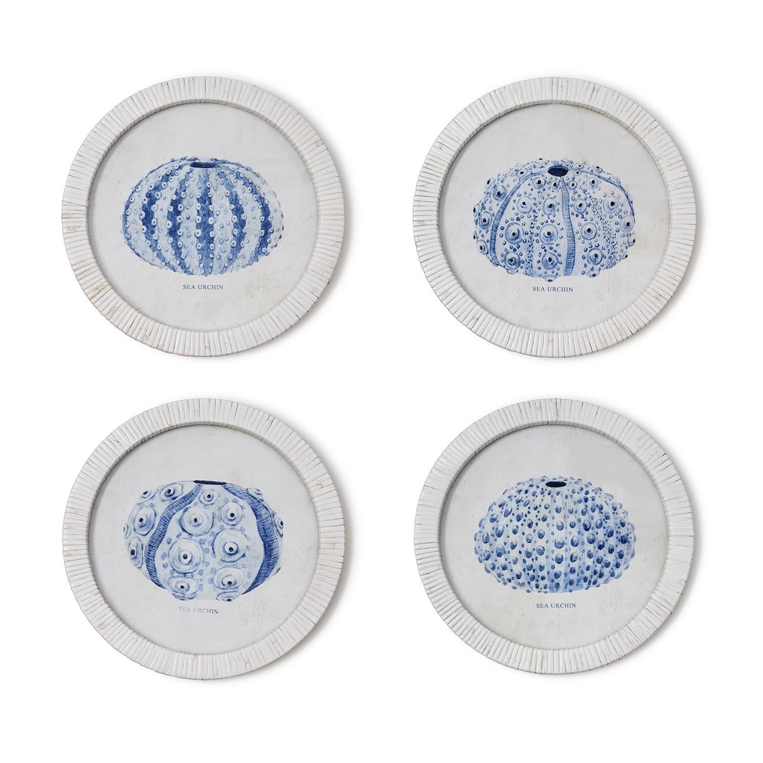 Sea Urchin Wall Art Set of 4