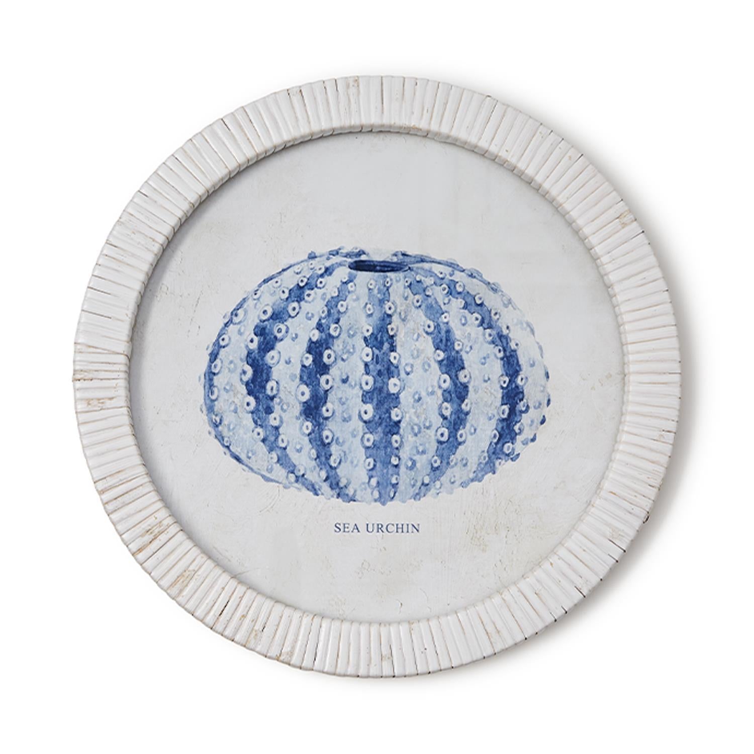 Sea Urchin Wall Art Set of 4