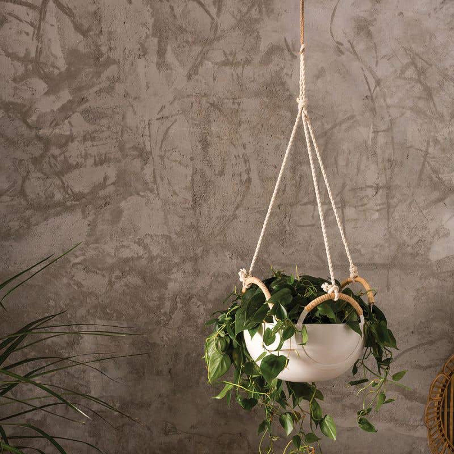 Sym Hanging Planter