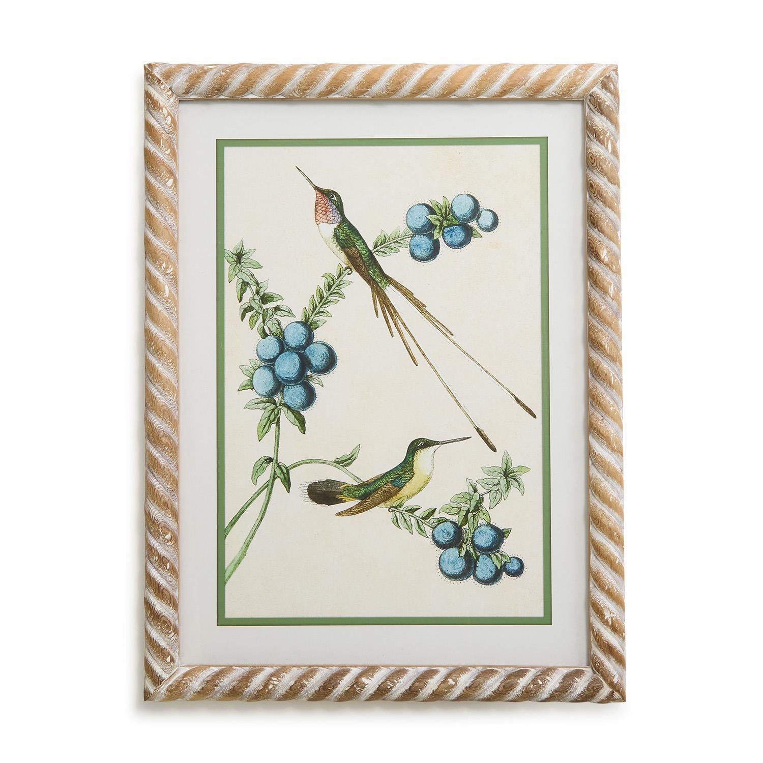 Hummingbird Framed Wall Art Set of 4