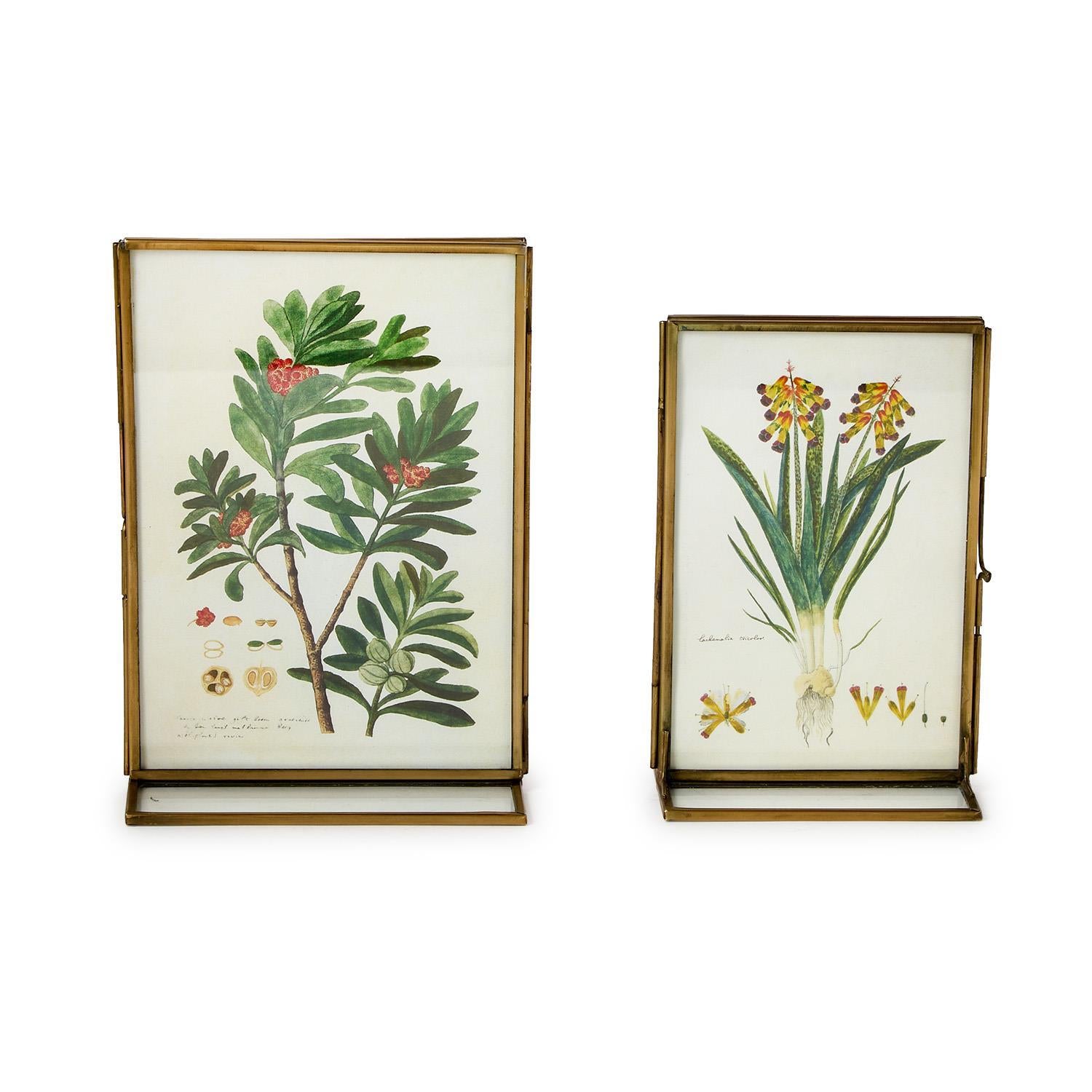 Double Sided Metal Photo Frame Set of 2