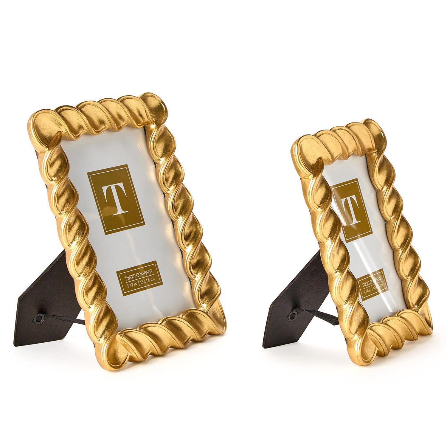 Twist Gold Leaf Frame Set of 2