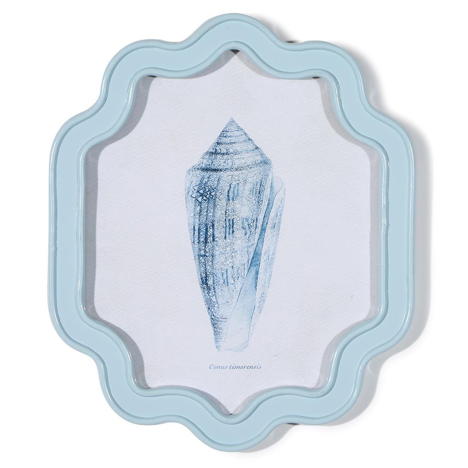 Shell Wall Art Set of 4