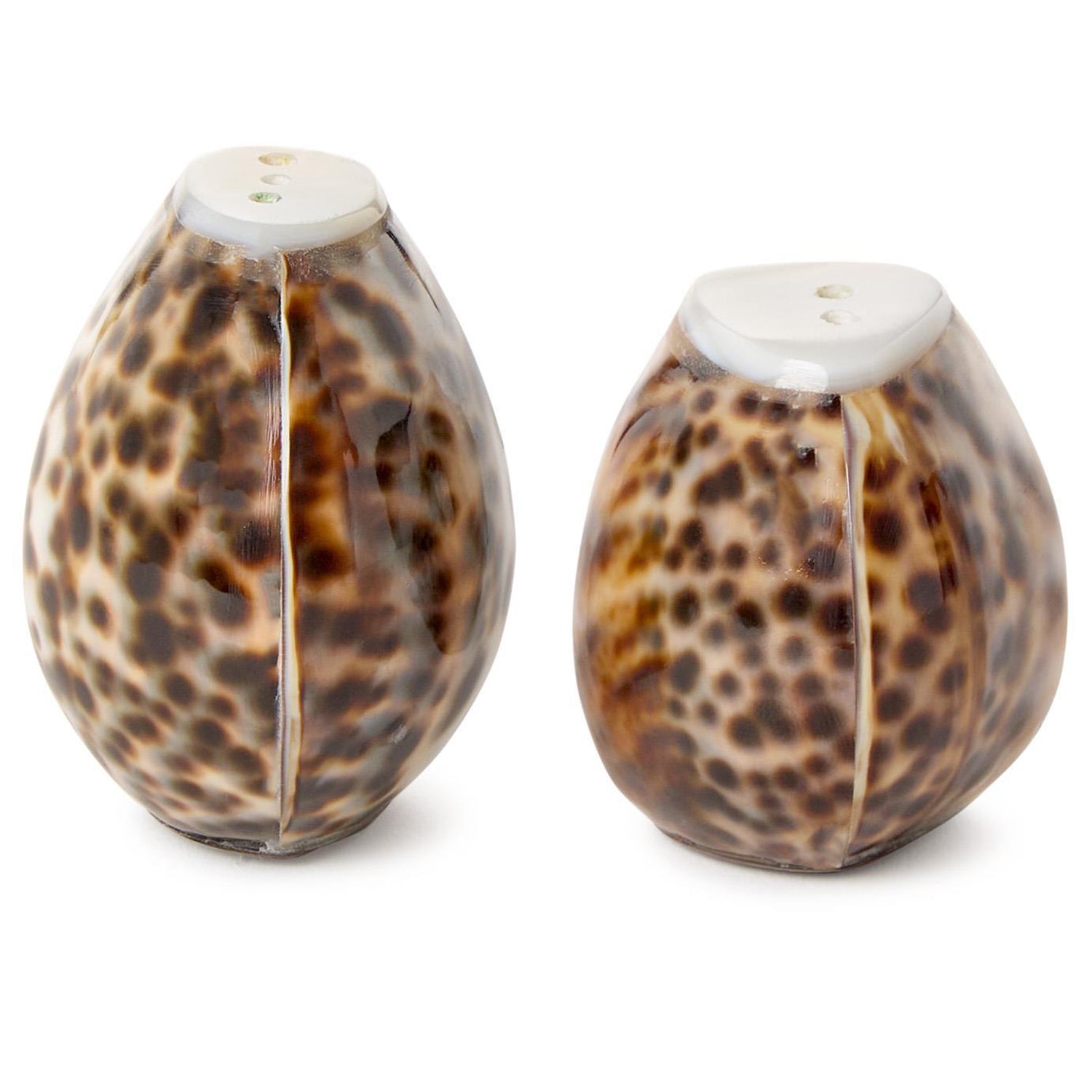 Tiger Cowrie Salt and Pepper Shaker Set in Natural Jute Pouch