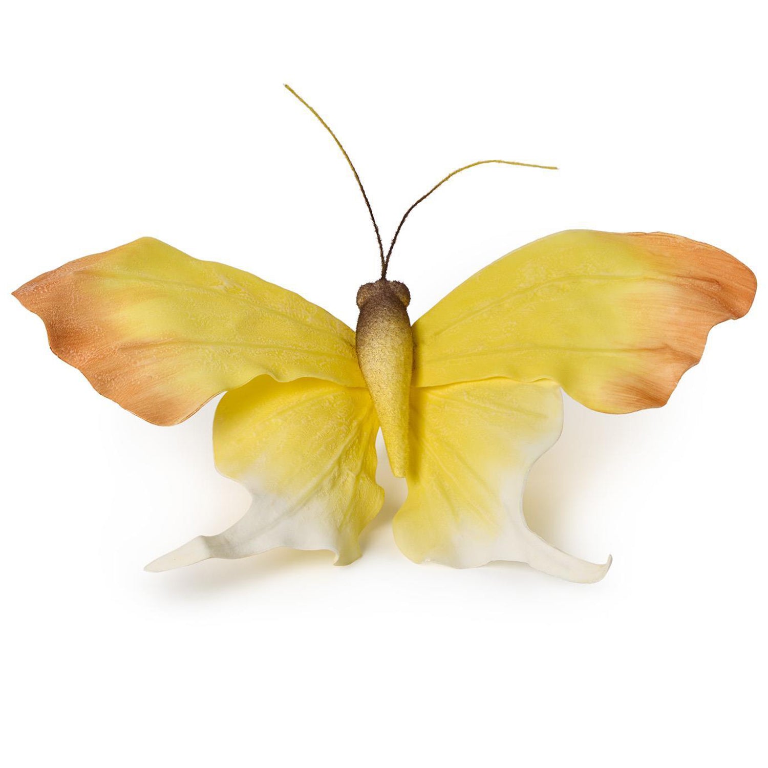 Oversized Butterflies with Clip Attachment Décor Set of 8