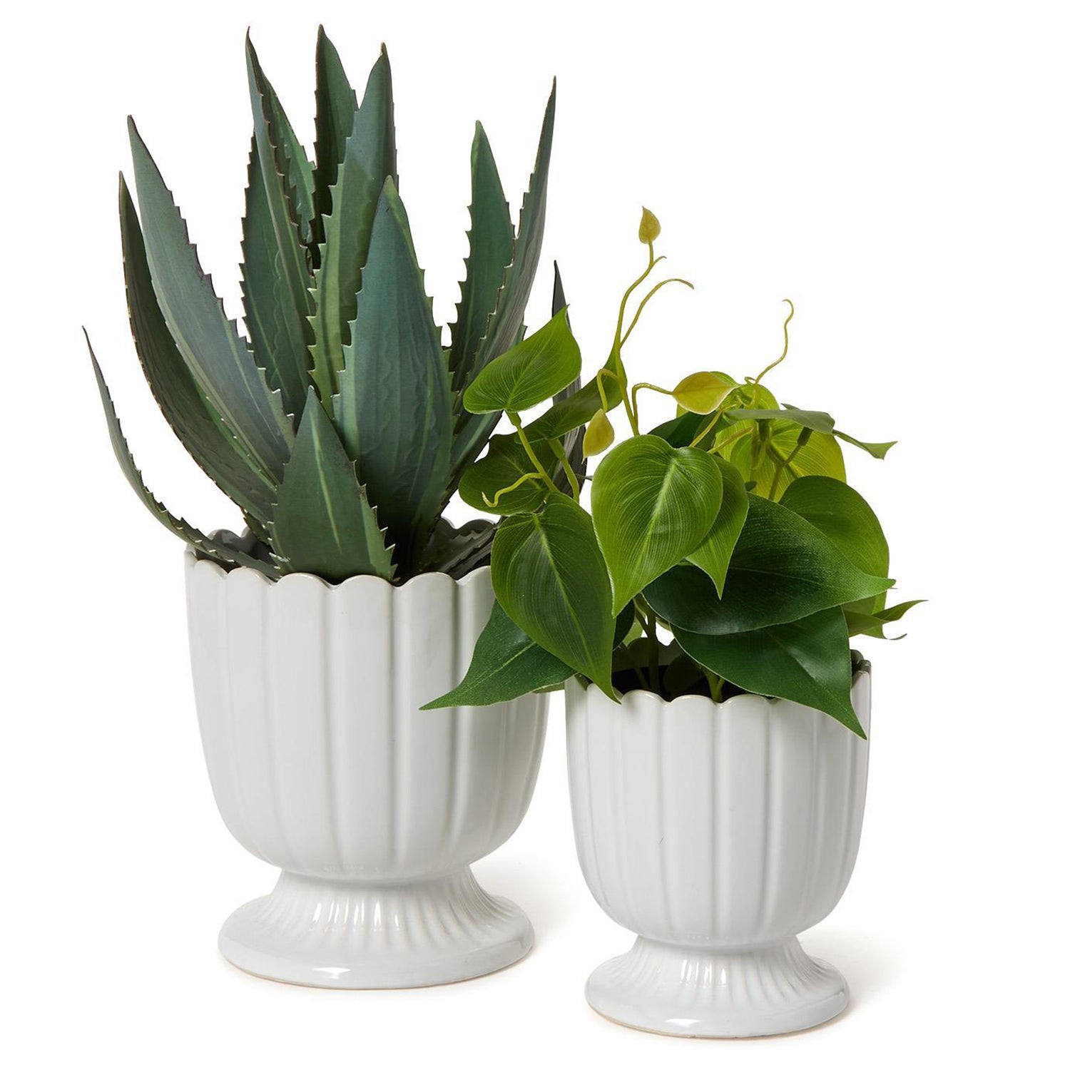 Scalloped Edge Planter Set of 2
