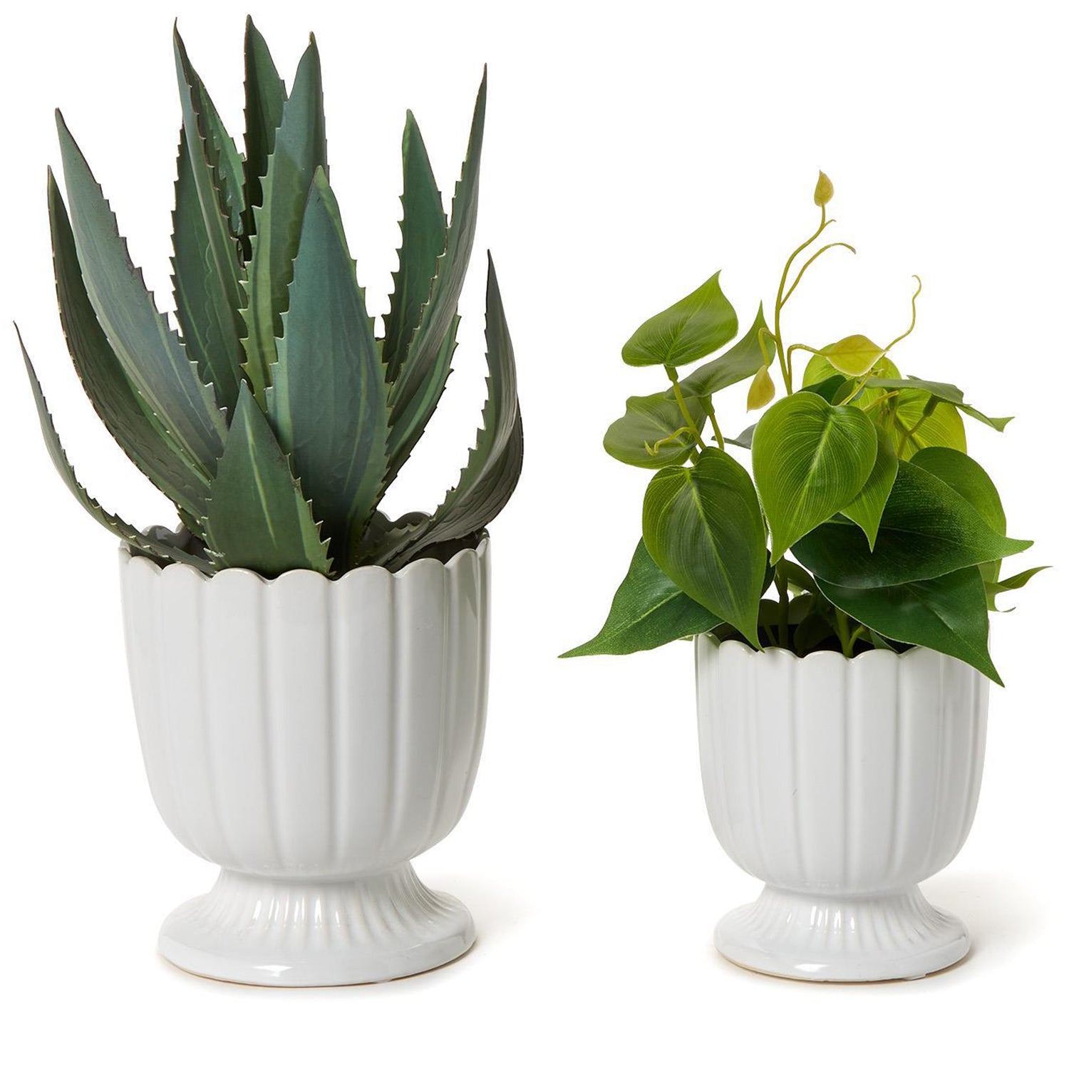 Scalloped Edge Planter Set of 2