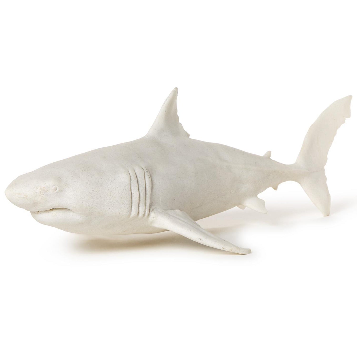 Great White Shark
