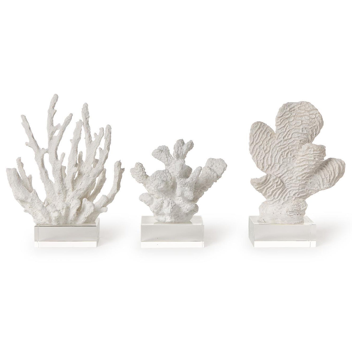 White Coral Sculptures on Acrylic Base Set of 3