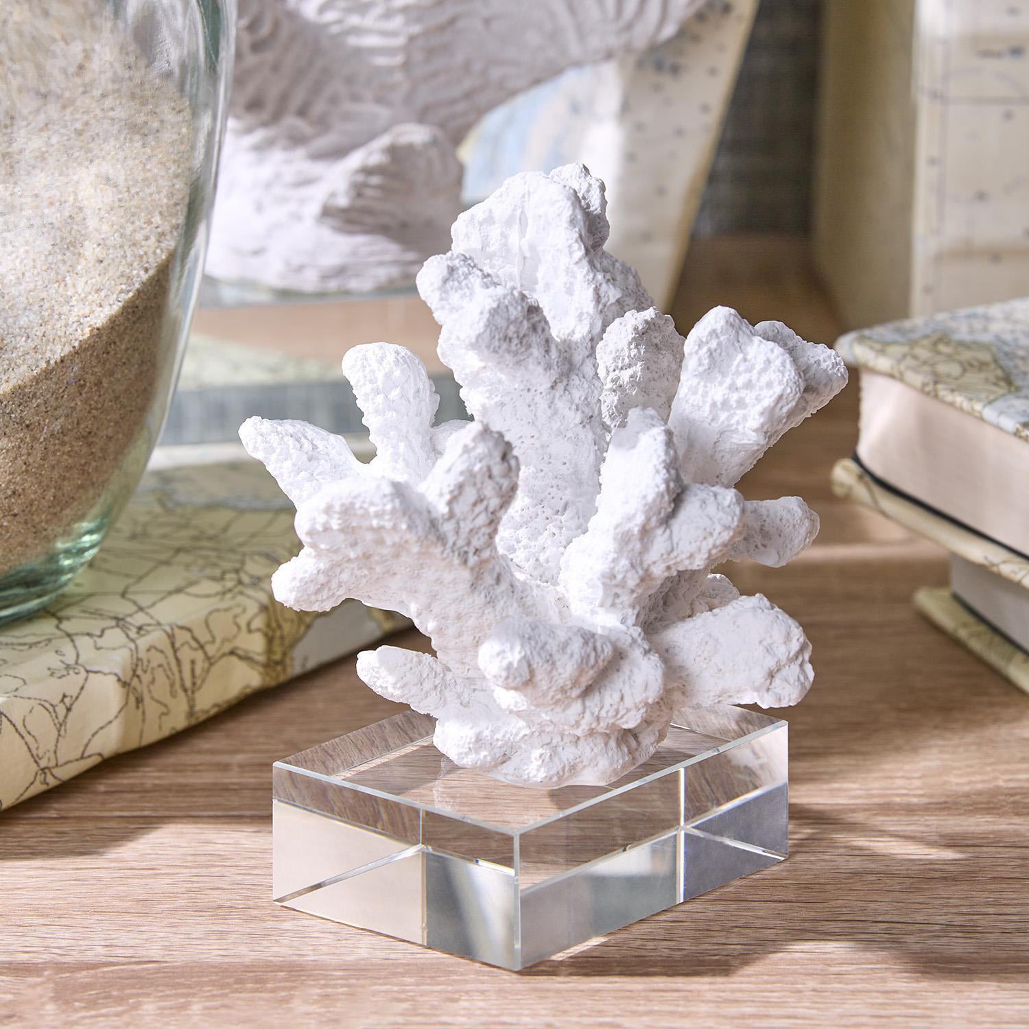 White Coral Sculptures on Acrylic Base Set of 3