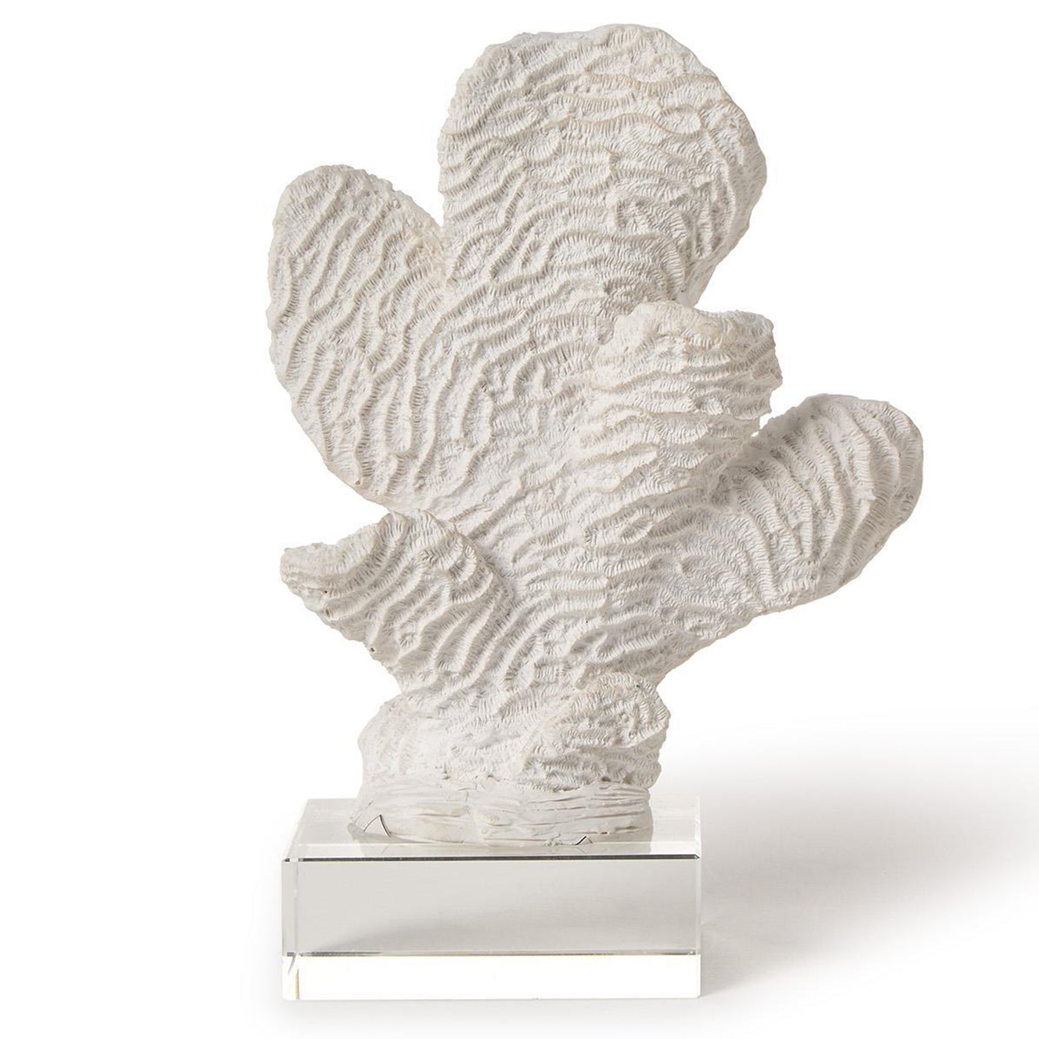 White Coral Sculptures on Acrylic Base Set of 3