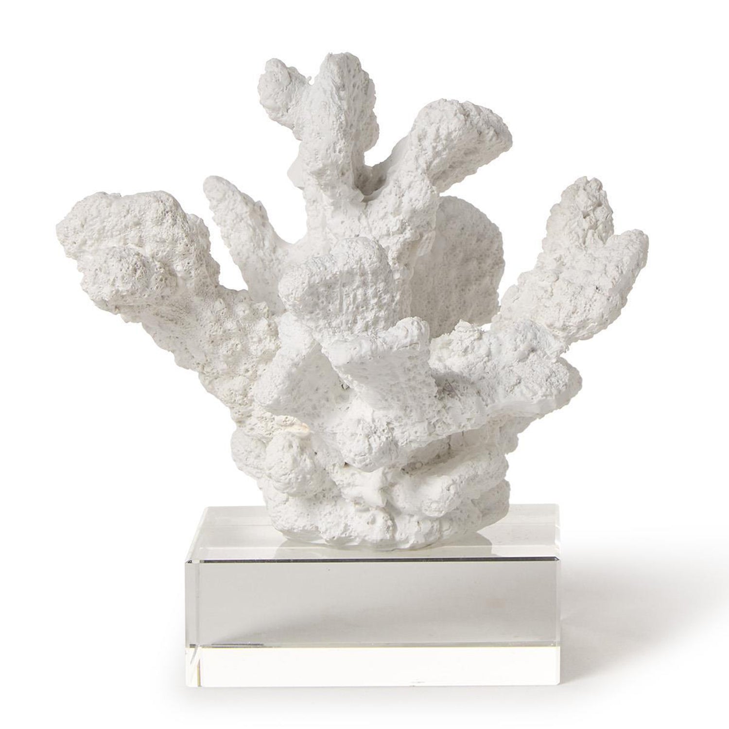 White Coral Sculptures on Acrylic Base Set of 3