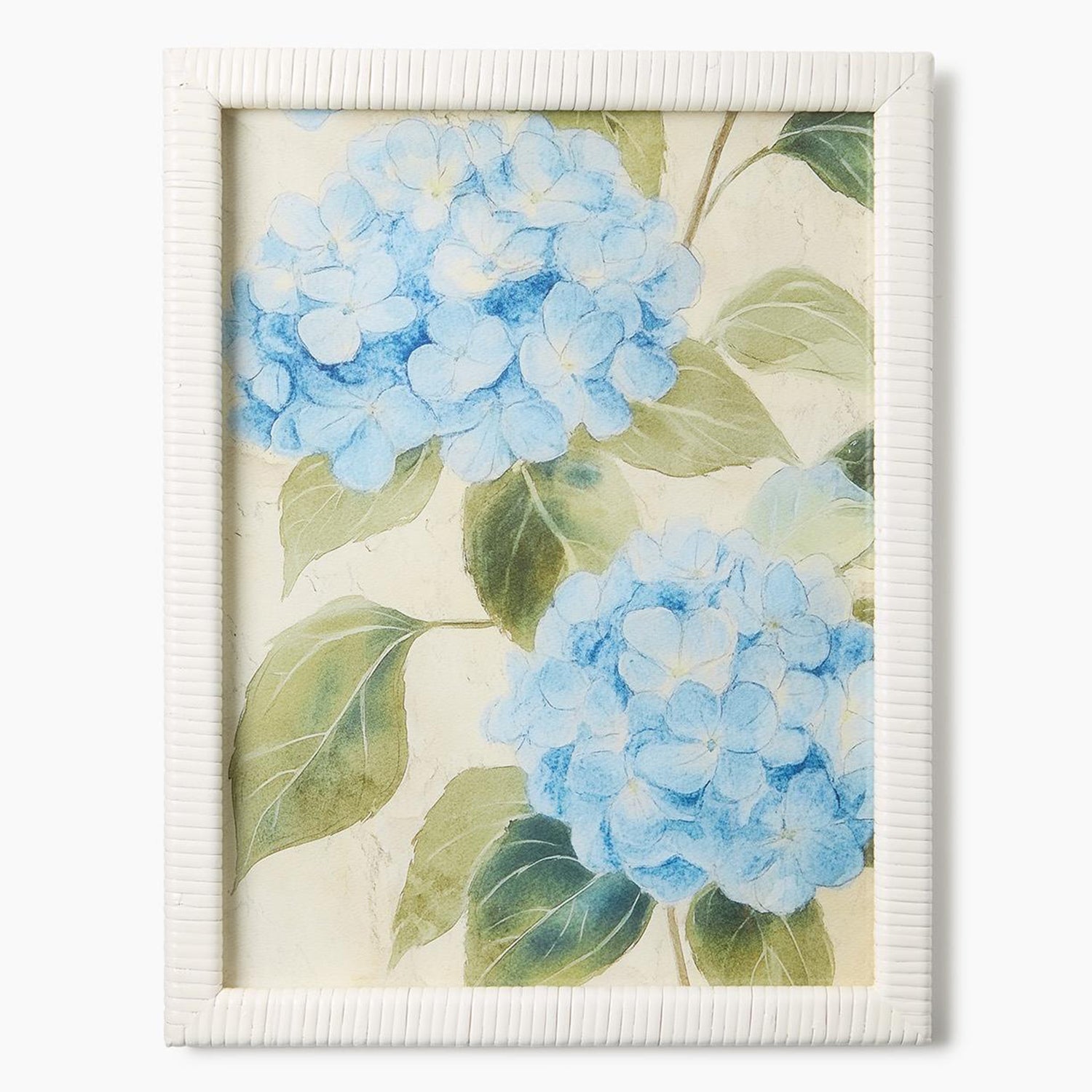 Hydrangea Framed Wall Art Print Set of 2