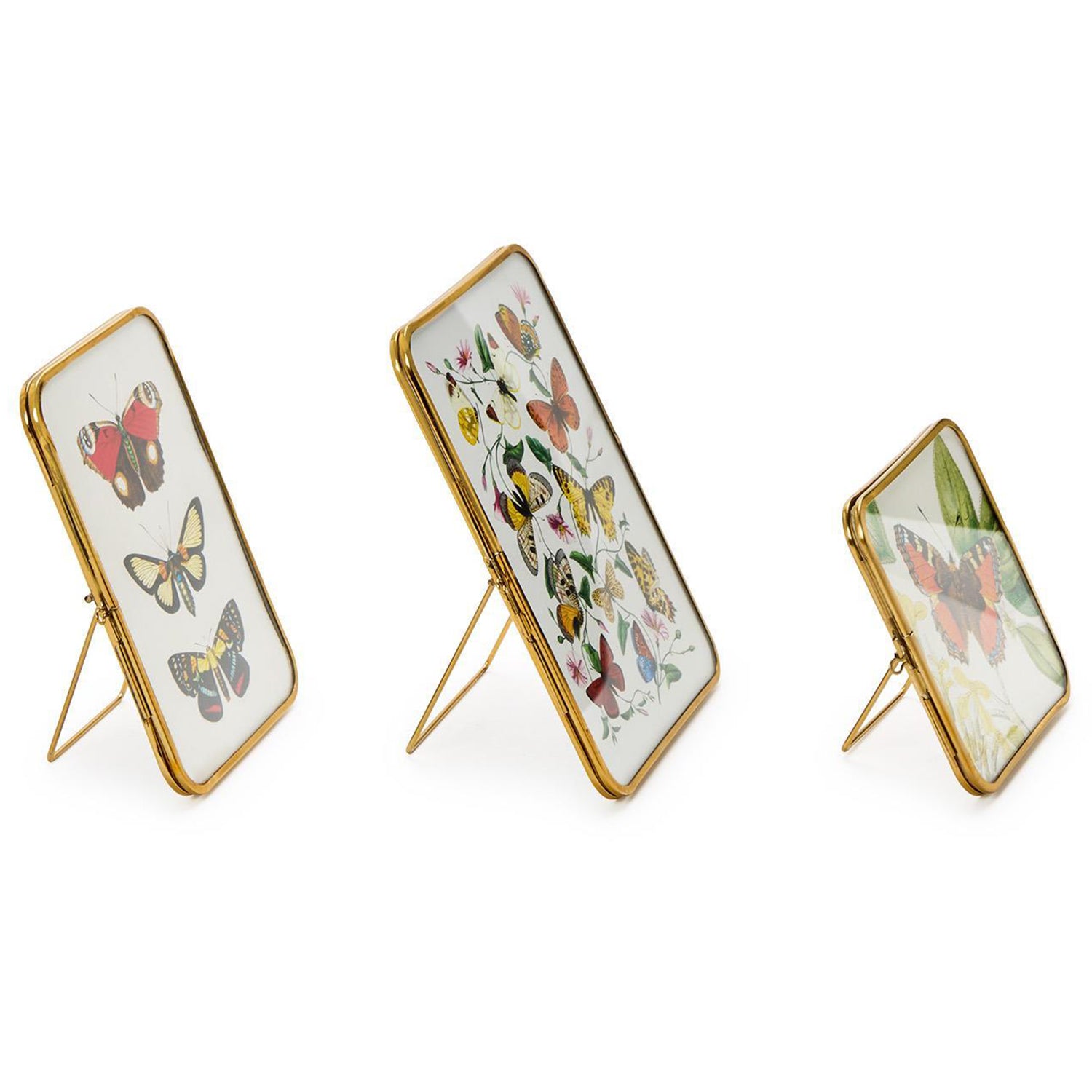 Metal Frame with Antique Gold Trim Set of 3