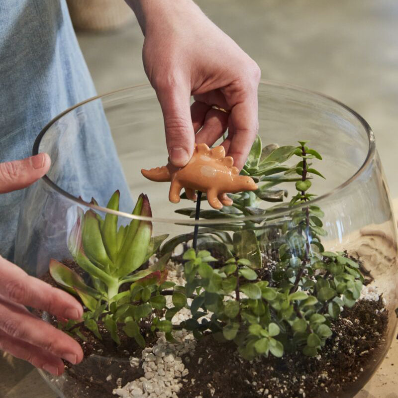 Dinosaur Friends Plant Stick Set of 2