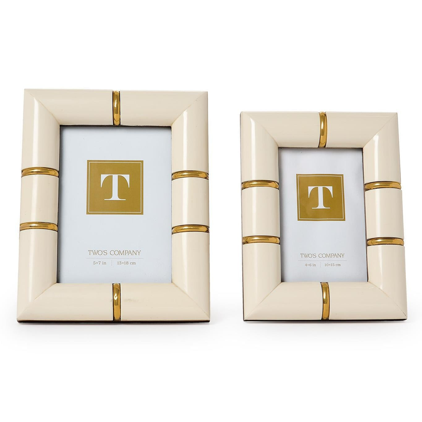 Faux Bone Picture Frame Set of 2