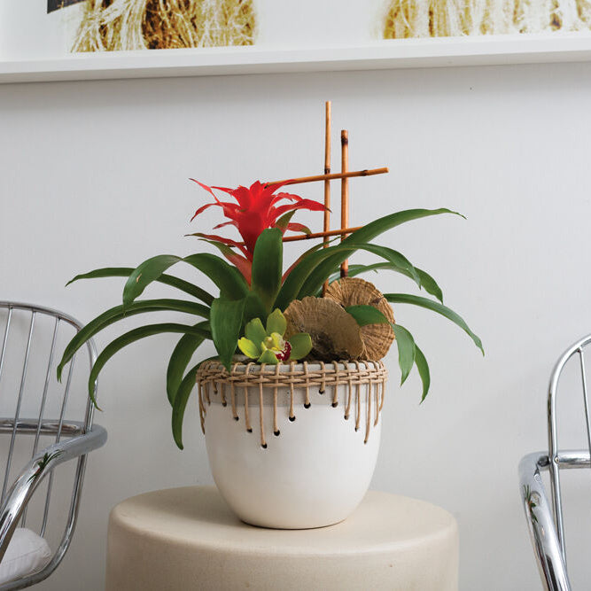 Hideaway Pot alternate view, two-tone ceramic rattan-trimmed planter