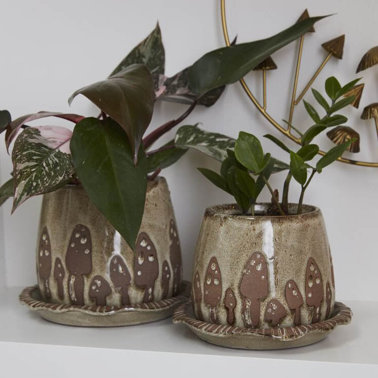 mushroom pot for plants Wild Mushroom Pot with Saucer