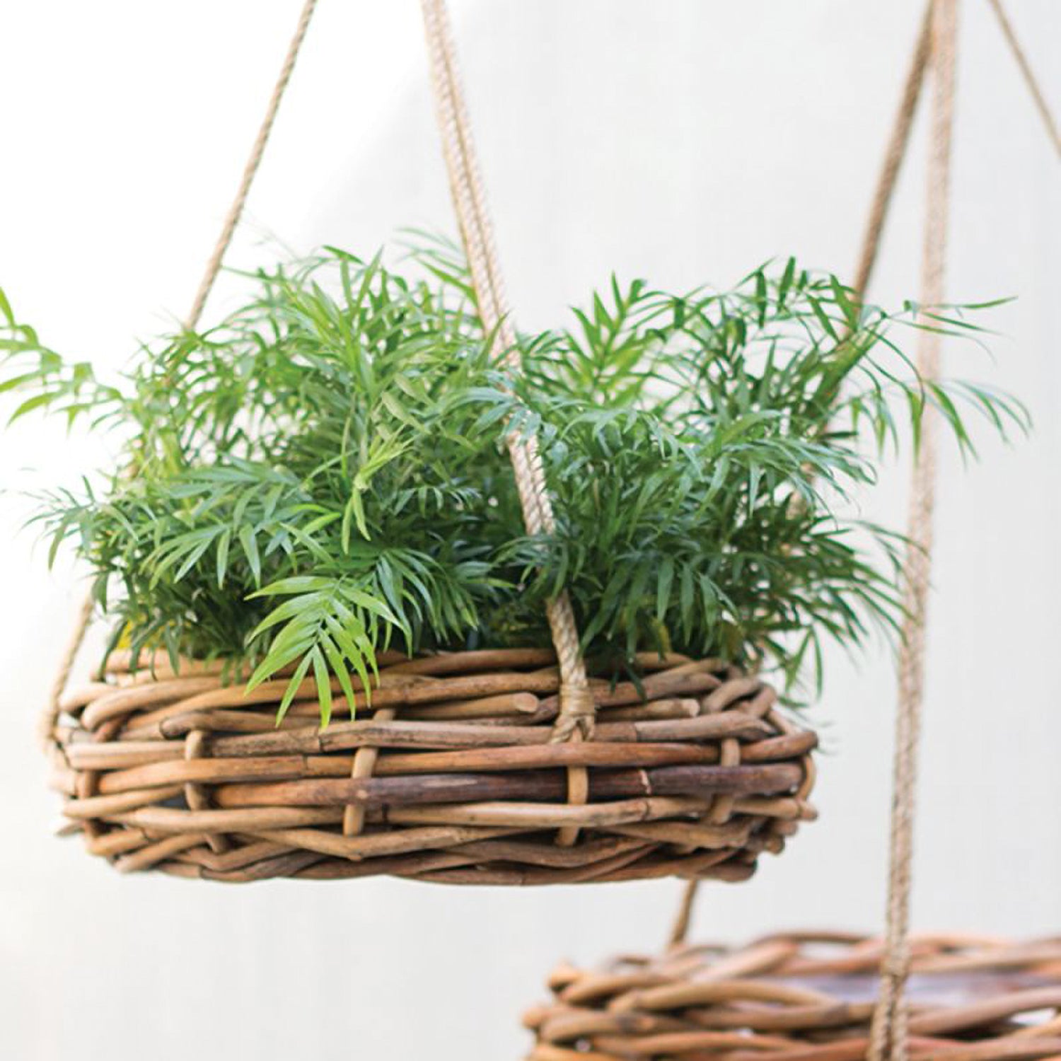 Cabana Plant Hanger