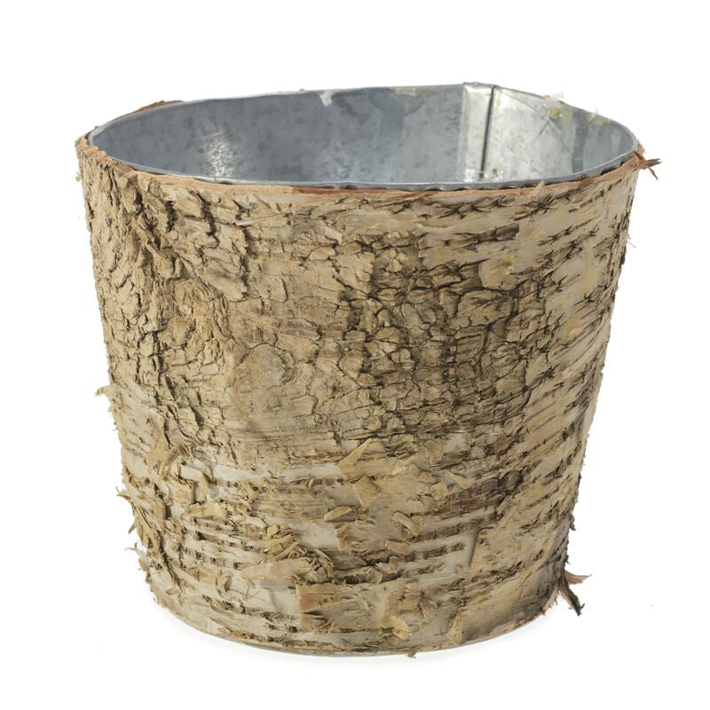 Birch with Zinc Lining Pot