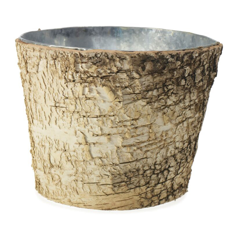 Birch with Zinc Lining Pot