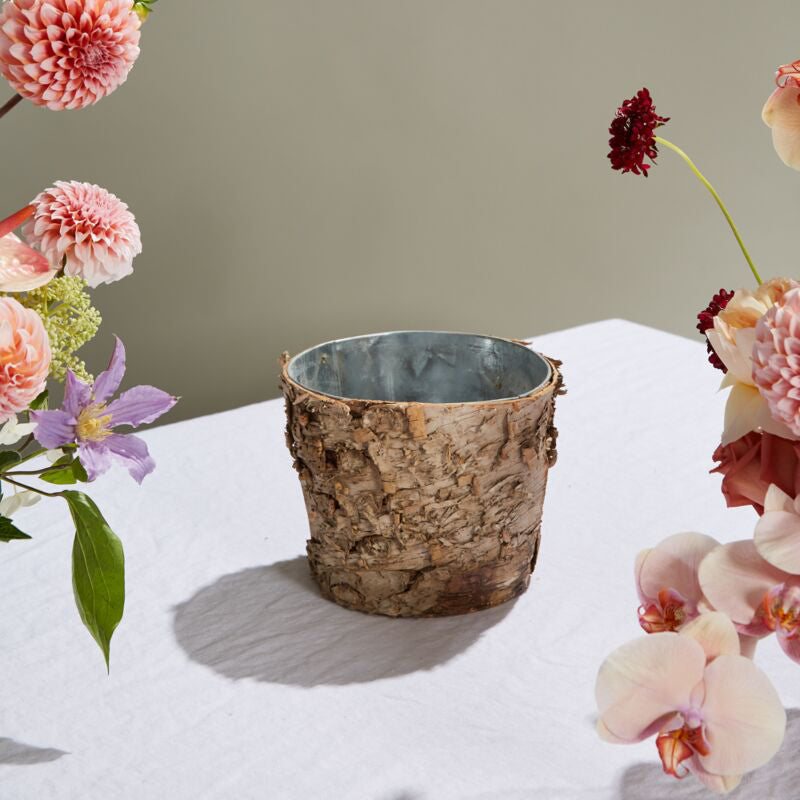 Birch with Zinc Lining Pot