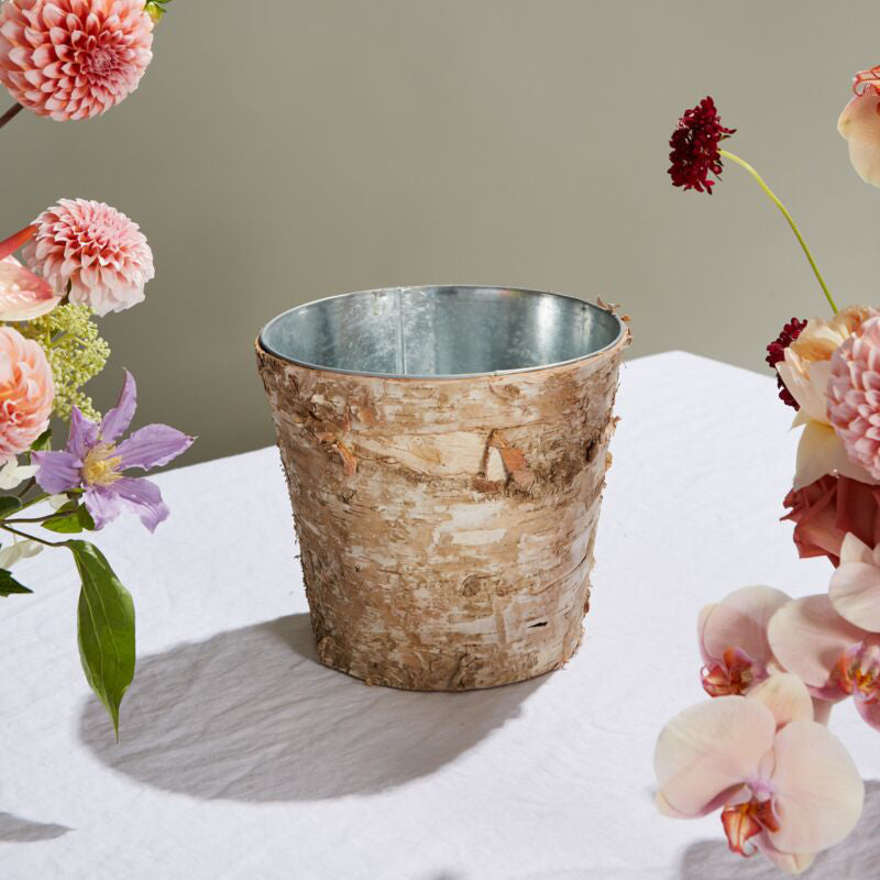 Birch with Zinc Lining Pot