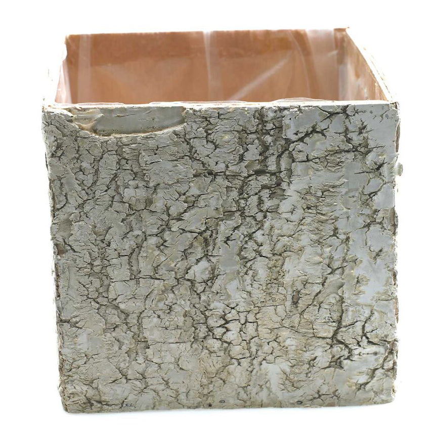 Birch Square Pot