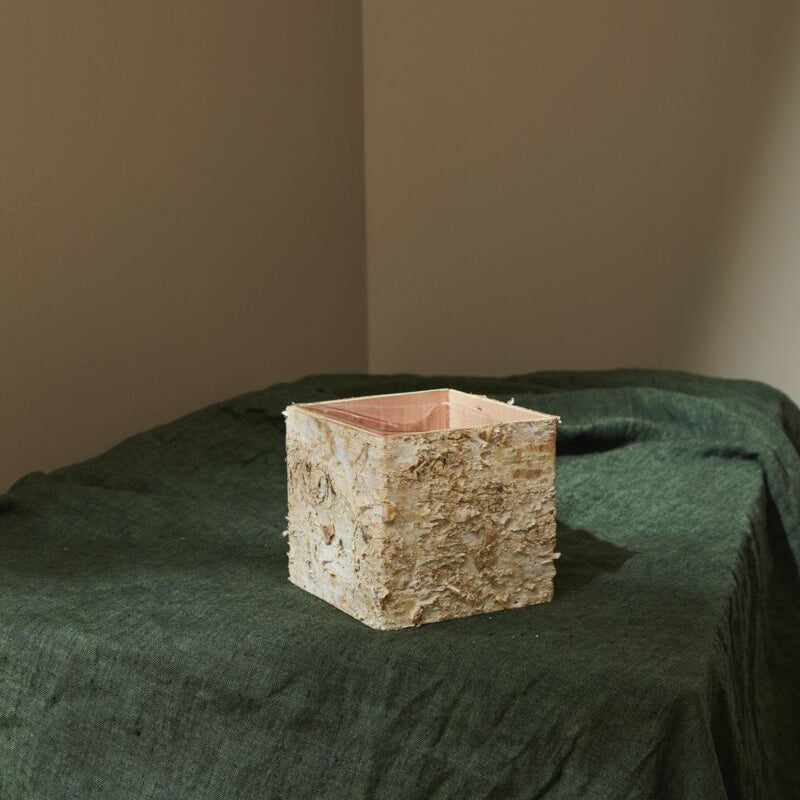 Birch Square Pot