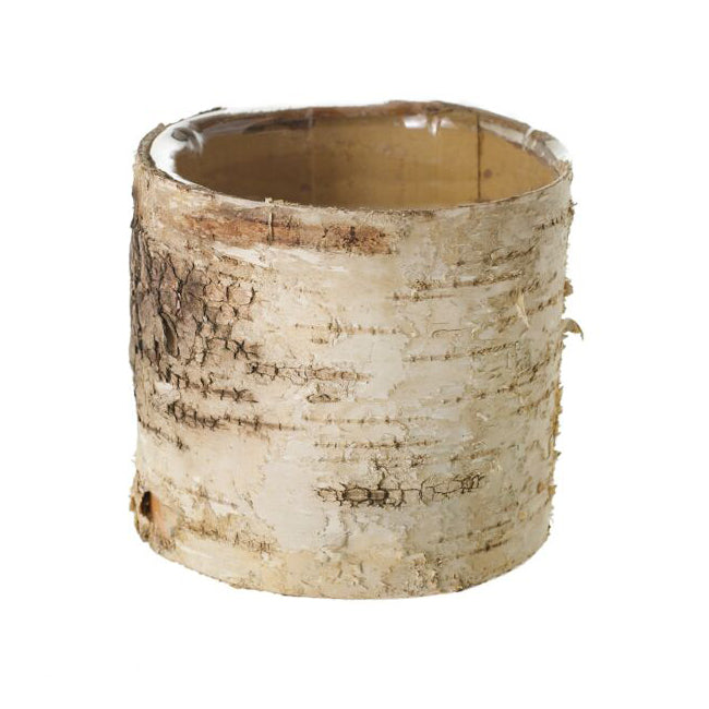 Birch Cylinder Pot