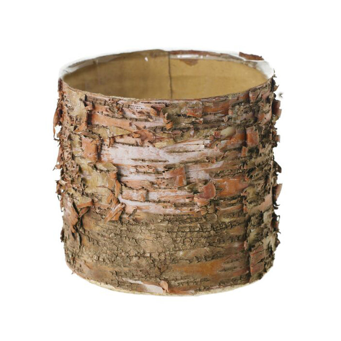 Birch Cylinder Pot