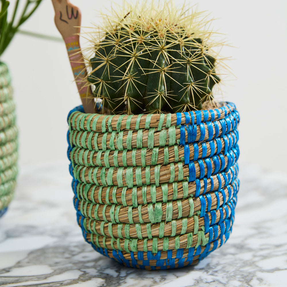Aqua Basket Planter Set of 2