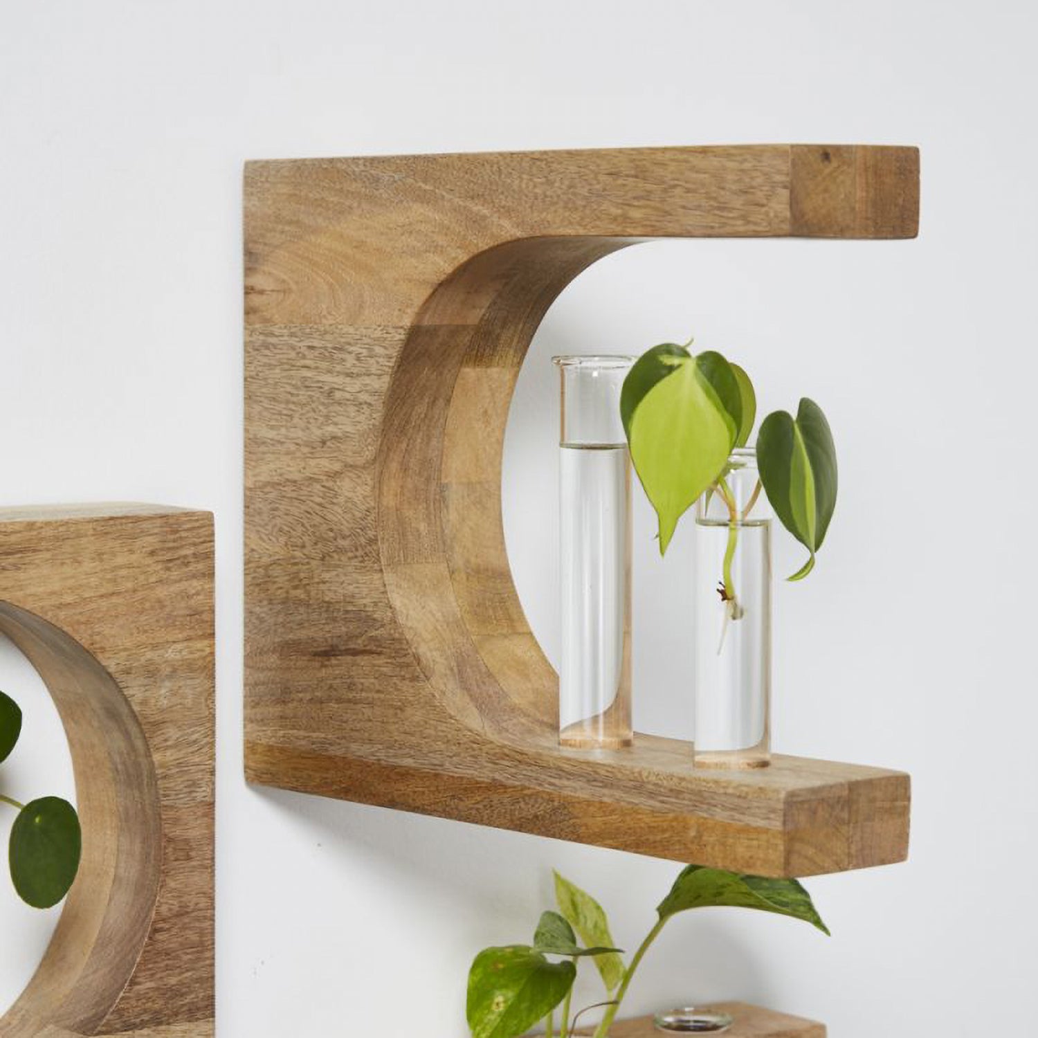 Bixby Propogation Station