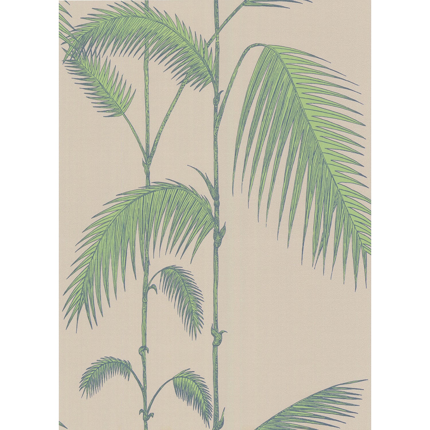Cole & Son New Contemporary Palm Leaves Wallpaper
