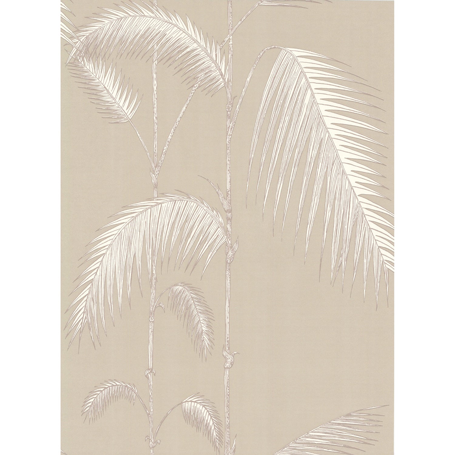 Cole & Son New Contemporary Palm Leaves Wallpaper