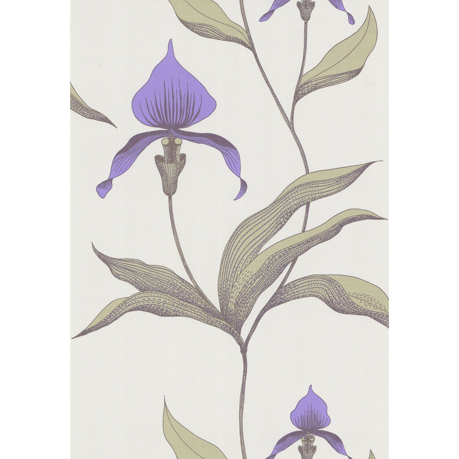 Cole & Son New Contemporary Orchid Wallpaper