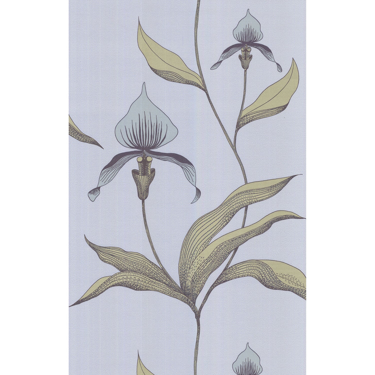 Cole & Son New Contemporary Orchid Wallpaper
