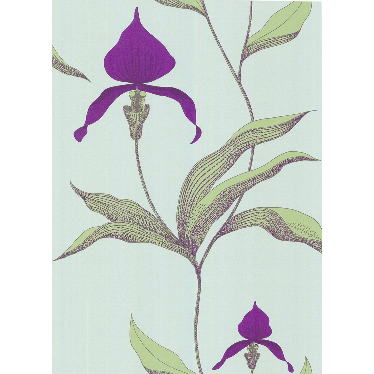 Cole & Son New Contemporary Orchid Wallpaper