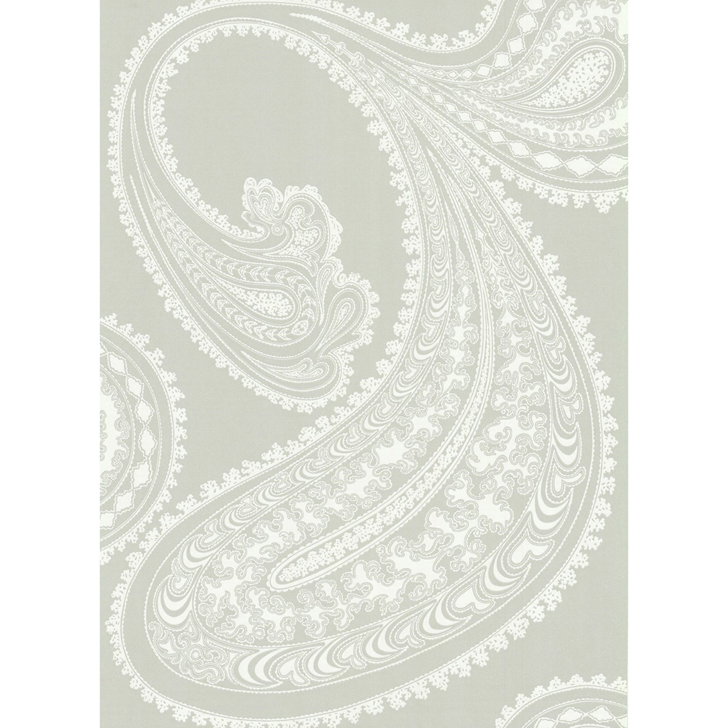 Cole & Son New Contemporary Rajapur Wallpaper